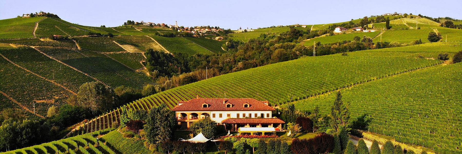 Barac Wein Piemonte